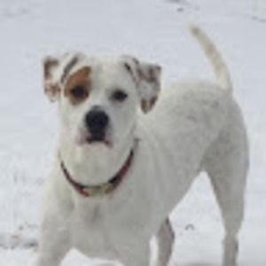 Meet your Posher, Lila